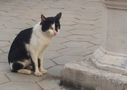 トゥールスレン⑤